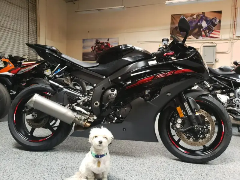2015 Yamaha R6 RAVEN