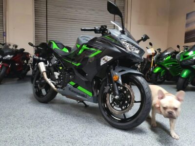 2019 Kawasaki Ninja 400 ABS