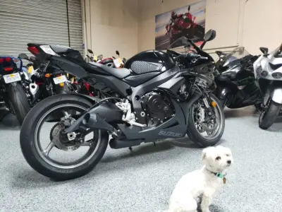 2011 Suzuki GSXR 600
