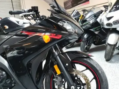 2015 Yamaha R3