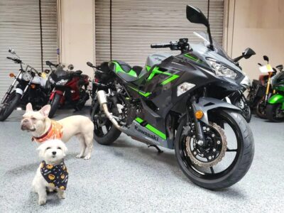 2019 Kawasaki Ninja 400 ABS