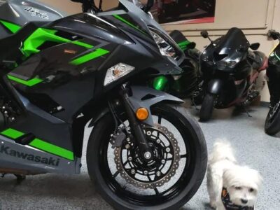 2019 Kawasaki Ninja 400 ABS