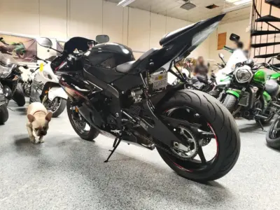 2015 Yamaha R6 RAVEN