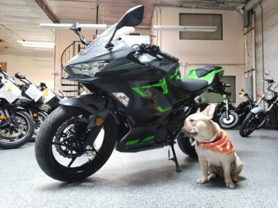 2019 Kawasaki Ninja 400 ABS