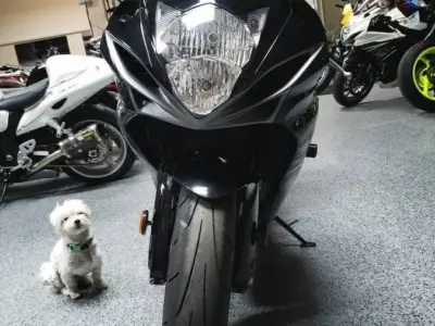 2011 Suzuki GSXR 600