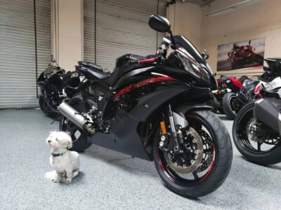 2015 Yamaha R6 RAVEN