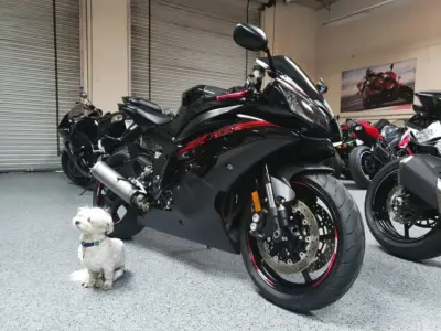 2015 Yamaha R6 RAVEN
