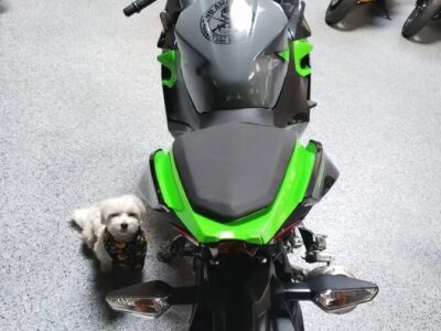 2019 Kawasaki Ninja 400 ABS