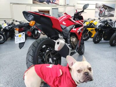 2017 Honda CBR500R CBR 500