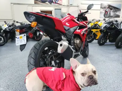 2017 Honda CBR500R CBR 500