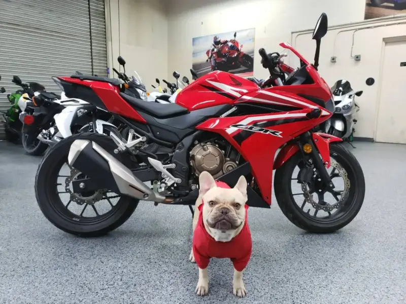 2017 Honda CBR500R CBR 500