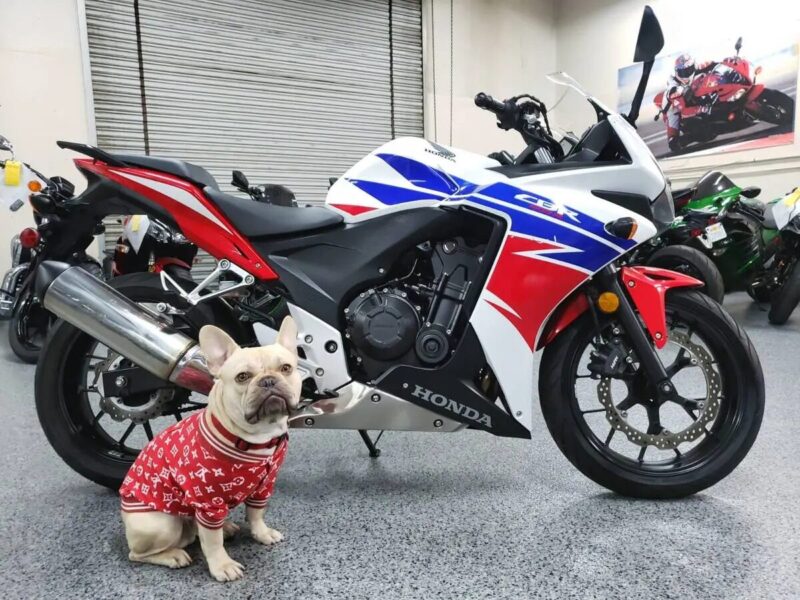 2014 Honda CBR500R CBR 500