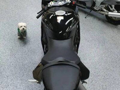 2015 Yamaha R6 RAVEN (300 miles)