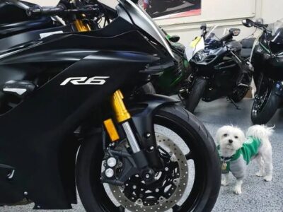 2017 Yamaha R6