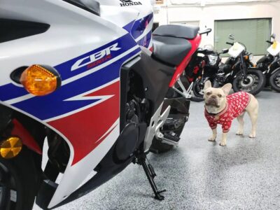 2014 Honda CBR500R CBR 500