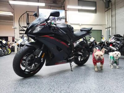 2015 Yamaha R6 RAVEN (300 miles)