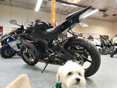 2015 Yamaha R6 RAVEN (300 miles)