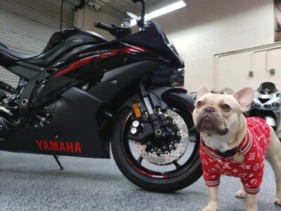 2015 Yamaha R6 RAVEN (300 miles)