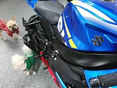 2016 Suzuki GSXR 600