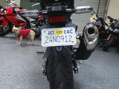 2019 HONDA CB300R