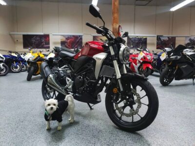 2019 HONDA CB300R