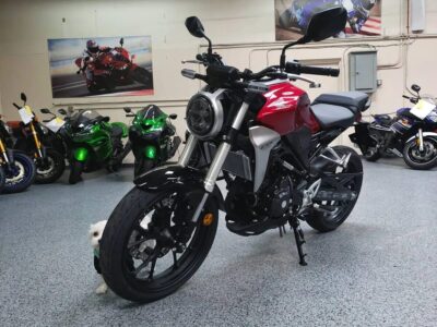 2019 HONDA CB300R