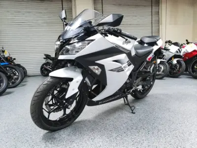 2017 Kawasaki Ninja 300