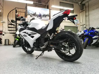 2017 Kawasaki Ninja 300