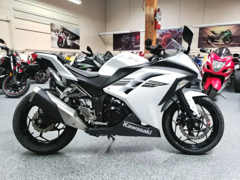 2017 Kawasaki Ninja 300