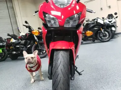2013 Honda CBR500R CBR 500