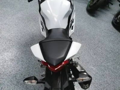 2017 Kawasaki Ninja 300