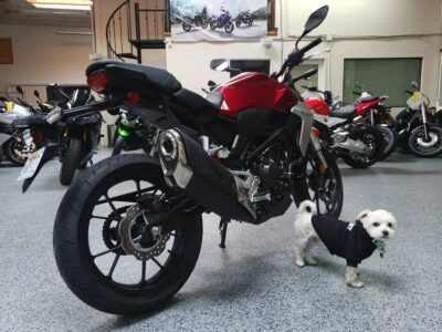 2019 HONDA CB300R
