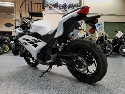 2017 Kawasaki Ninja 300