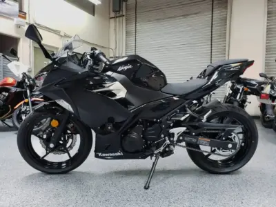 2019 Kawasaki Ninja 400