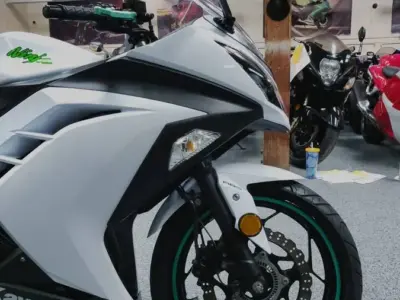 2015 KAWASAKI NINJA 300 ABS