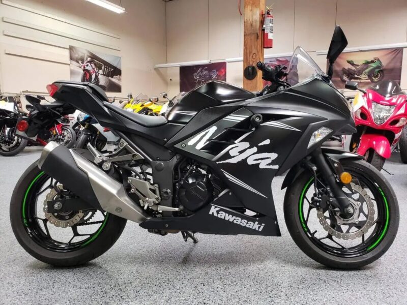 2017 KAWASAKI NINJA 300 WINTER EDITION ABS