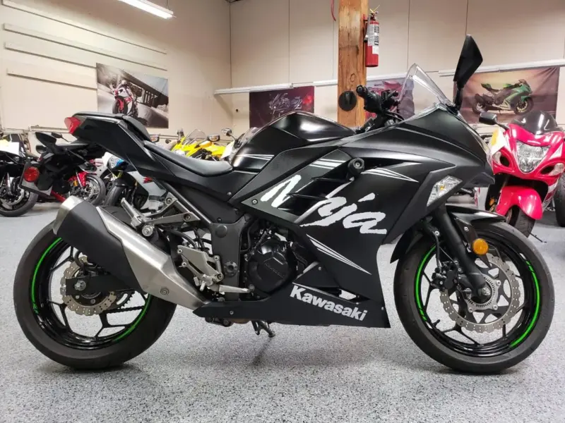 2017 KAWASAKI NINJA 300 WINTER EDITION ABS