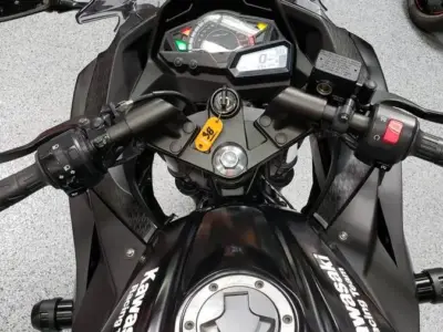 2017 KAWASAKI NINJA 300 WINTER EDITION ABS