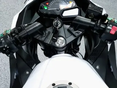 2015 KAWASAKI NINJA 300 ABS