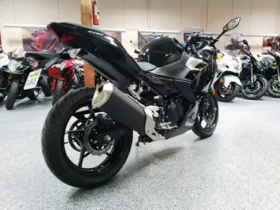 2019 Kawasaki Ninja 400
