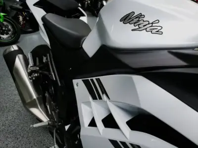 2017 Kawasaki Ninja 300