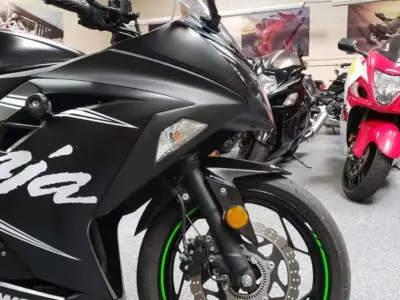 2017 KAWASAKI NINJA 300 WINTER EDITION ABS