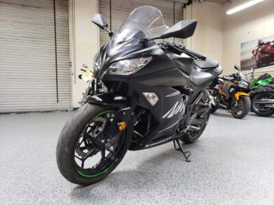 2017 KAWASAKI NINJA 300 WINTER EDITION ABS