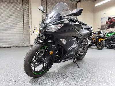 2017 KAWASAKI NINJA 300 WINTER EDITION ABS