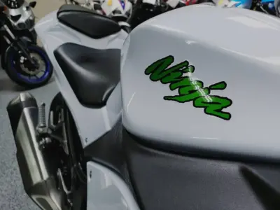 2015 KAWASAKI NINJA 300 ABS