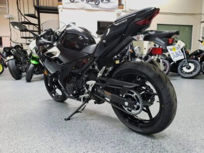 2019 Kawasaki Ninja 400