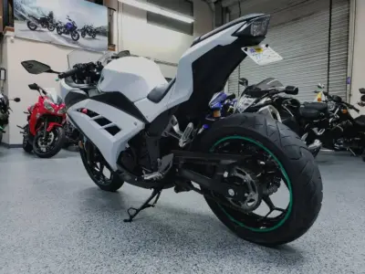 2015 KAWASAKI NINJA 300 ABS
