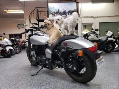 2016 Honda Shadow Phantom