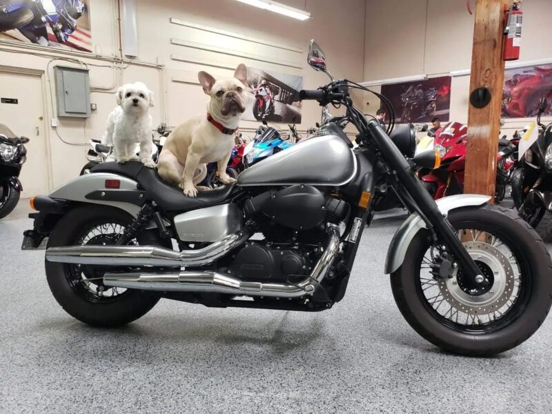 2016 Honda Shadow Phantom