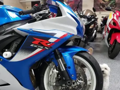 2013 Suzuki GSXR 600